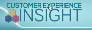 Customer Experience Insight